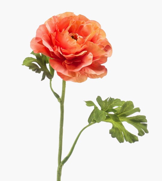 Künstliche Ranunkel in Lachs mit grünem Stiel und Blättern.