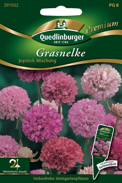 Samentüte für Winter-Endivien Gialla a cuore pieno mit dem Quedlinburger Saatgut Logo und einer Abbildung von krausen Salatblättern.
