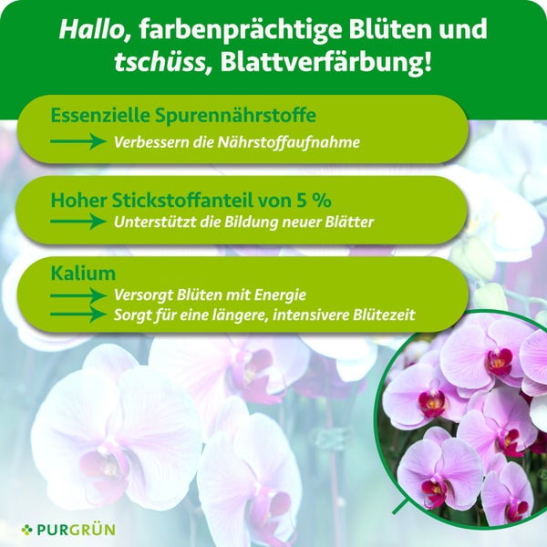 Purgrün Logo. Infografik zu Orchideendünger: Spurennährstoffe, 5 Prozent Stickstoff zur Blattbildung und Kalium für eine längere Blütezeit.