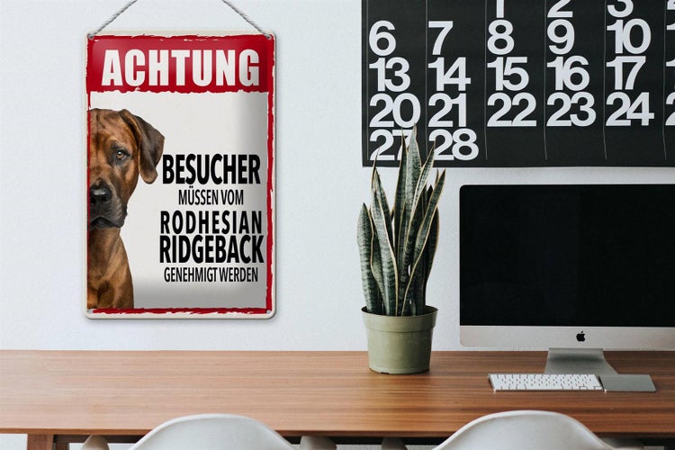 Blechschild Spruch 20x30cm Achtung Rodhesian Ridgeback