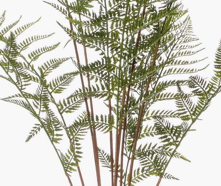 Künstlicher Farn mit fein gefiederten grünen Blättern und braunen Stielen.