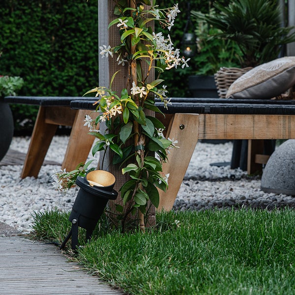 Gartenstrahler beleuchtet eine blühende Kletterpflanze an einem Holzpfosten in einem Garten mit Rasen und Kies.
