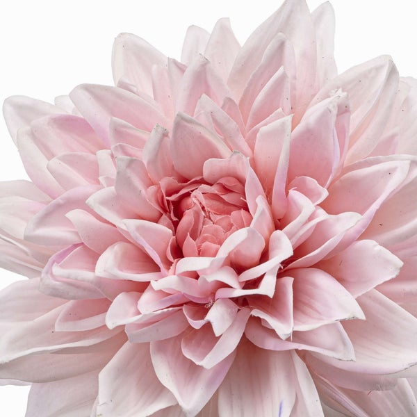 Nahaufnahme eines Stiels einer Kunstblume mit grünen Blättern und hellen Blütenblättern.