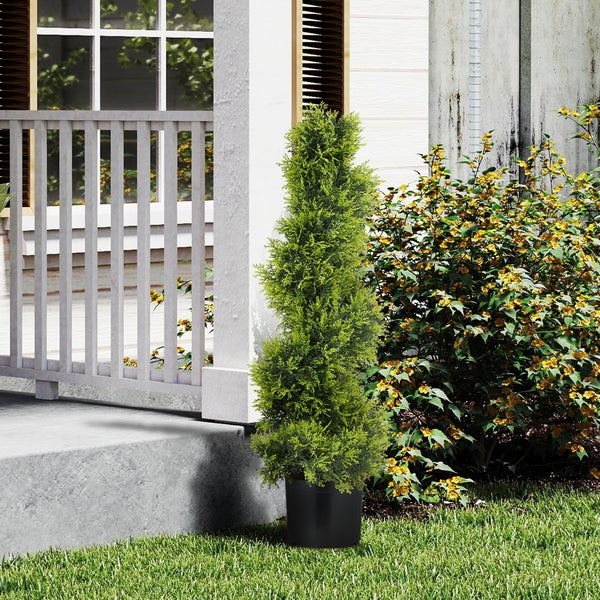 Formschnittgehölz im Topf vor einem Haus.