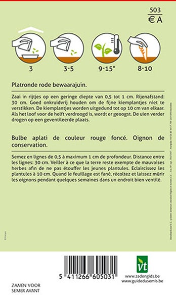 Anweisungen zum Pflanzen von roter Zwiebel Saatgut