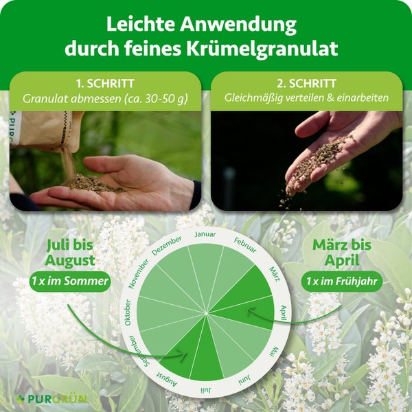 Anleitung für Purgrün Granulat: circa 30 bis 50 Gramm abmessen und verteilen. Anwendung von März bis April und Juli bis August. Purgrün Logo.