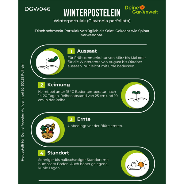 Deine Gartenwelt Logo. Infografik für Winterpostelein mit Tipps zu Aussaat, Keimung unter 15 Grad Celsius, Ernte vor der Blüte und Standortwahl.
