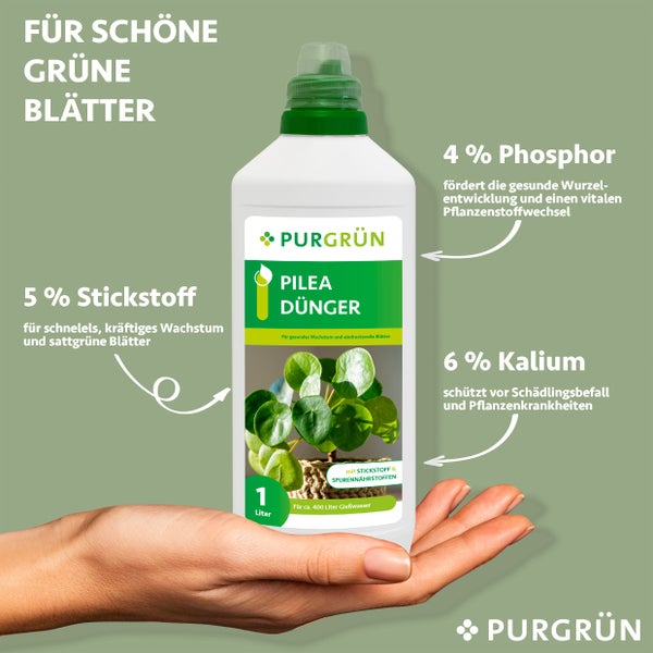Purgrün Pilea-Dünger 1 Liter