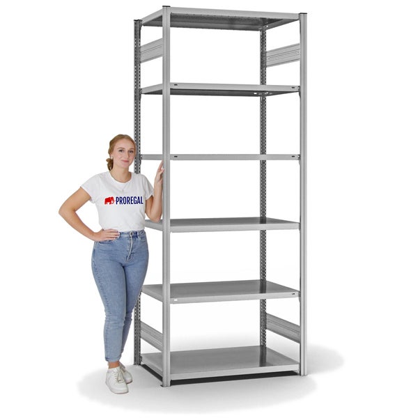 PROREGAL Fachbodenregal Stecksystem T-Profil Light-Duty Grundregal HxBxT 250 x 100 x 60 cm 6 Ebenen Fachlast 140 kg Beidseitig Nutzbar Verzinkt