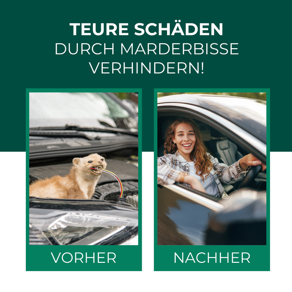Silberkraft Marder Stopp Spray 400ml, Effektiver Sofort- & Langzeitschutz gegen Marder im Auto, Dachboden & Haus, Verhindert Marderbisse an Kabeln & Schläuchen , Überdeckt Duftmarken für nachhaltige Abwehr