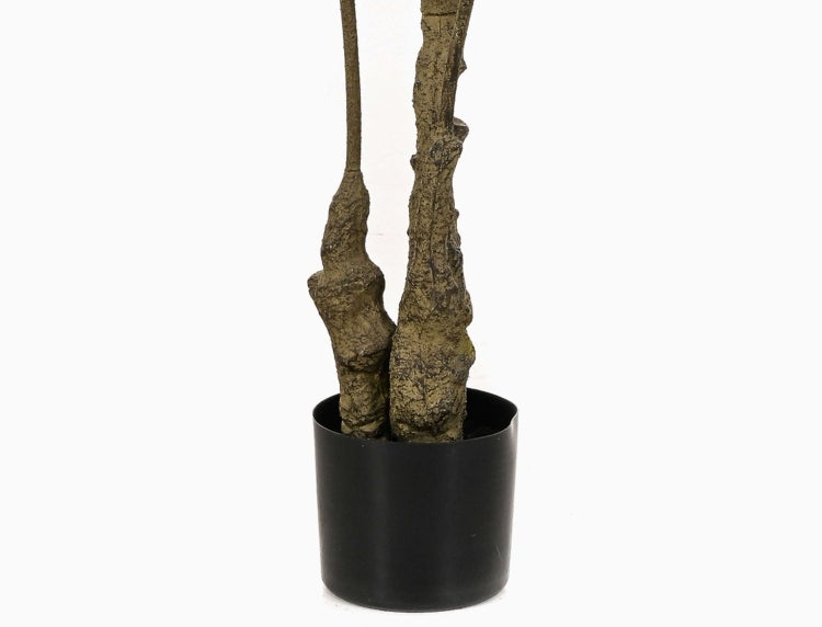 Künstliche Schefflera im schwarzen Kunststofftopf.