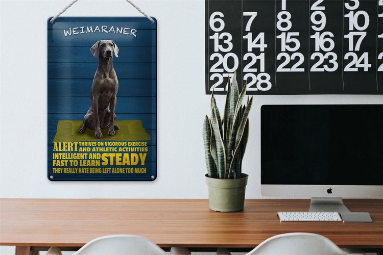 Blechschild Spruch 20x30cm Weimaraner Hund alert and steady