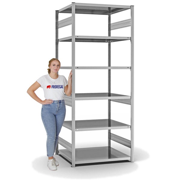 PROREGAL Fachbodenregal Stecksystem T-Profil Medium-Duty Grundregal HxBxT 250 x 100 x 80 cm 6 Ebenen Fachlast 230 kg Beidseitig Nutzbar Verzinkt