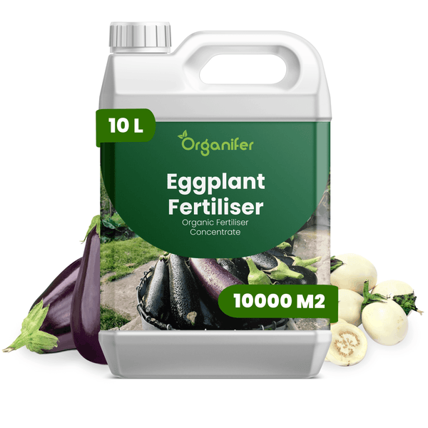 Organifer Auberginendünger, organisches Düngerkonzentrat, 10 Liter Kanister für circa 10000 Quadratmeter.