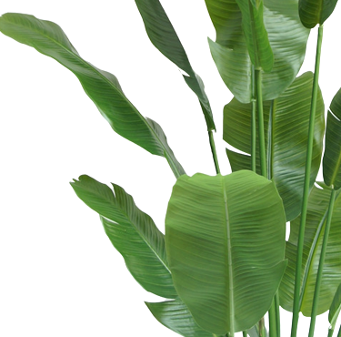 Kunstpflanze Strelitzia Nicolai Deluxe 165 cm