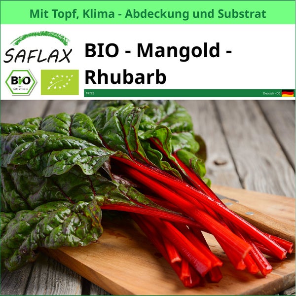 SAFLAX Garden to go - BIO - Mangold - Rhubarb - Beta vulgaris subsp. vulgaris - 50 Samen - Mit Topf, Klima - Deckel und Anzuchtsubstrat