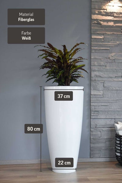 Weißes Pflanzgefäß aus Fiberglas mit Pflanze, Höhe 80 Zentimeter, Durchmesser oben 37 Zentimeter und unten 22 Zentimeter.