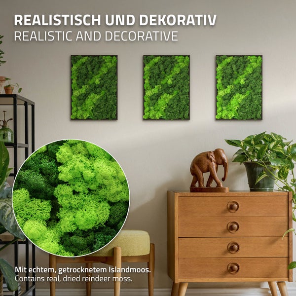 Drei rechteckige Wandbilder mit echtem getrocknetem Islandmoos in Holzrahmen als dekorative Wandgestaltung.