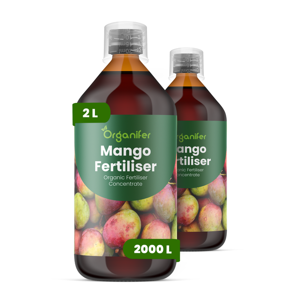Mango Flüssigdünger 2x1L – 2-1-8 NPK – Flüssig-Pflanzendünger für Mangobäume – Fördert stabile Wurzeln & gleichmäßige Fruchtentwicklung – Organifer