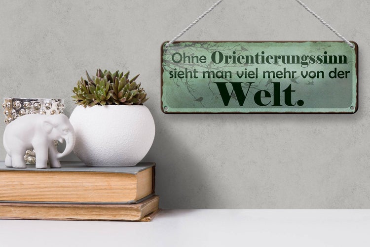 Blechschild Spruch 27x10cm ohne Orientierungssinn sieht man Dekoration