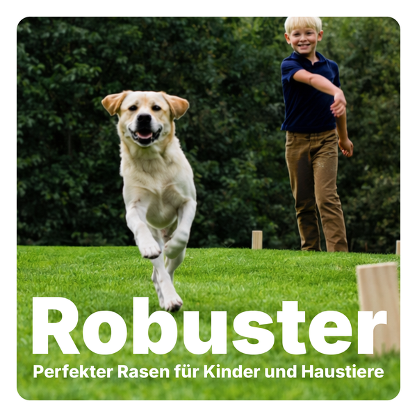 Ein Hund läuft über einen grünen Rasen, im Hintergrund ein Kind. Text Robuster Perfekter Rasen für Kinder und Haustiere.