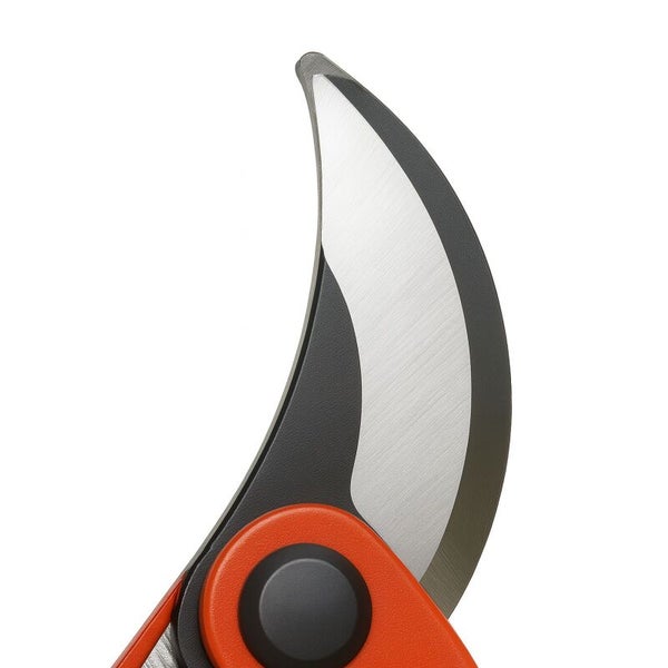 Nahaufnahme einer Gartenschere