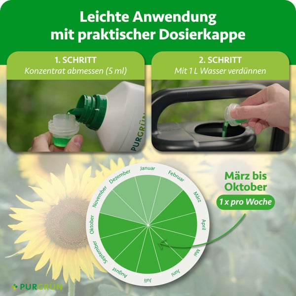 Flüssigdünger Anwendung: 5 Milliliter mit Dosierkappe abmessen, mit 1 Liter Wasser mischen. März bis Oktober einmal wöchentlich. Purgrün Logo.