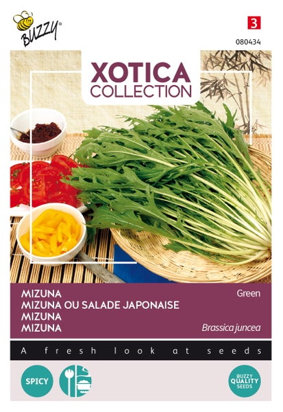 Mizuna Samenpackung der Xotica Kollektion