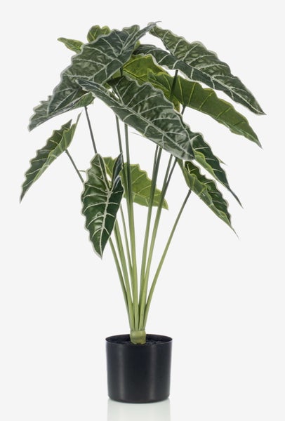 Künstliche Alocasia im schwarzen Topf mit dunkelgrünen Blättern und hellen Blattadern.