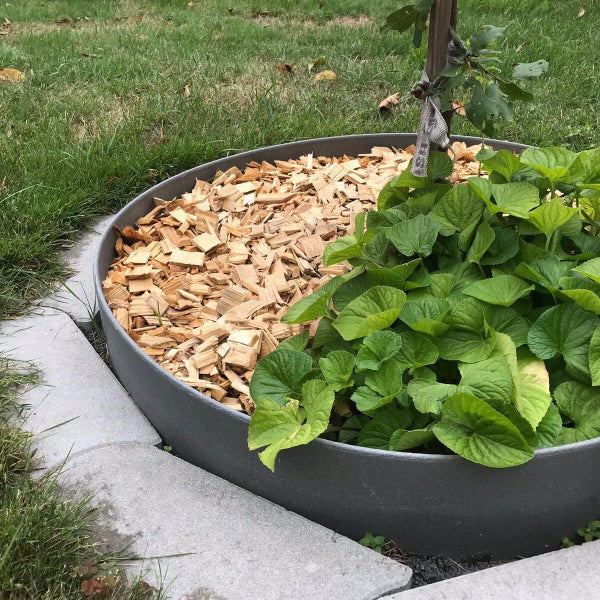 Kreisförmige Rasenkante aus Metall mit Holzhackschnitzeln und Pflanzen