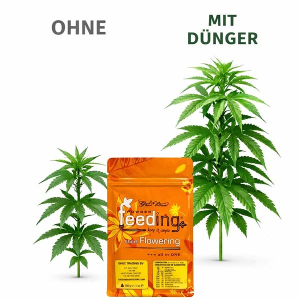 Pulverförmiger Pflanzendünger für die Blütephase neben zwei Pflanzen, eine ohne und eine mit Dünger