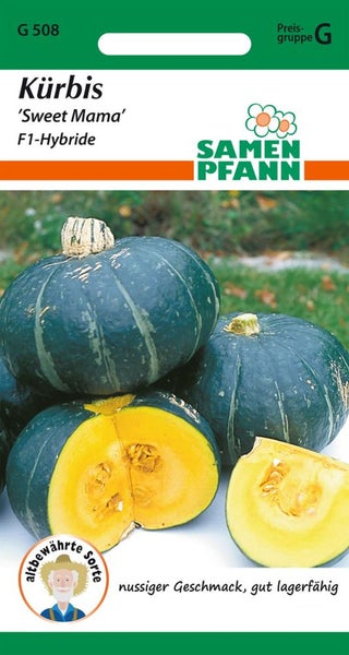 Samenpackung Kürbis 'Sweet Mama' F1-Hybride von Samen Pfann