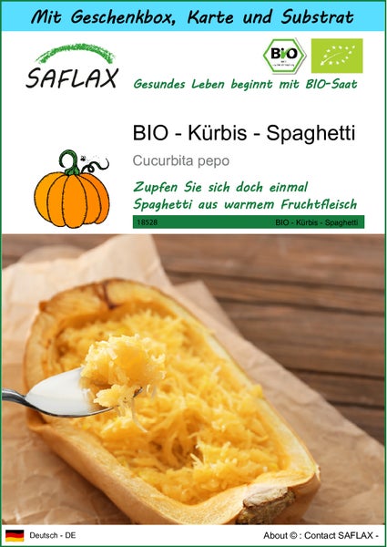SAFLAX Geschenk Set - BIO - Kürbis - Spaghetti - Cucurbita pepo - 5 Samen - Mit Geschenkbox, Versandaufkleber, Geschenkkarte und Anzuchtsubstrat