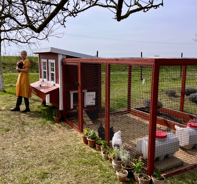 Tränkeautomat OverEZ Chicken Coops 45 liter