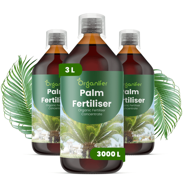 Organifer Bio-Palmendünger Konzentrat, 3 Liter, ausreichend für 3000 Liter Gießwasser.