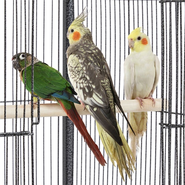 Drei Vögel sitzen in einem Vogelkäfig auf einer Stange.