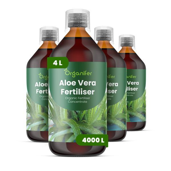 Vier Flaschen Organifer Aloe Vera Dünger, organisches Düngerkonzentrat, 4 Liter.