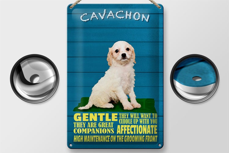 Blechschild Spruch 20x30cm Cavachon Hund gentle affectionat