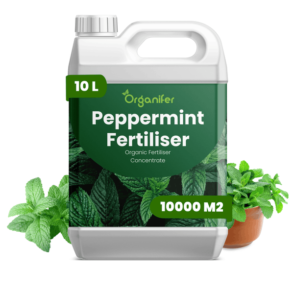 10 Liter Organifer organischer Pfefferminz-Dünger Konzentrat, ausreichend für 10000 Quadratmeter.