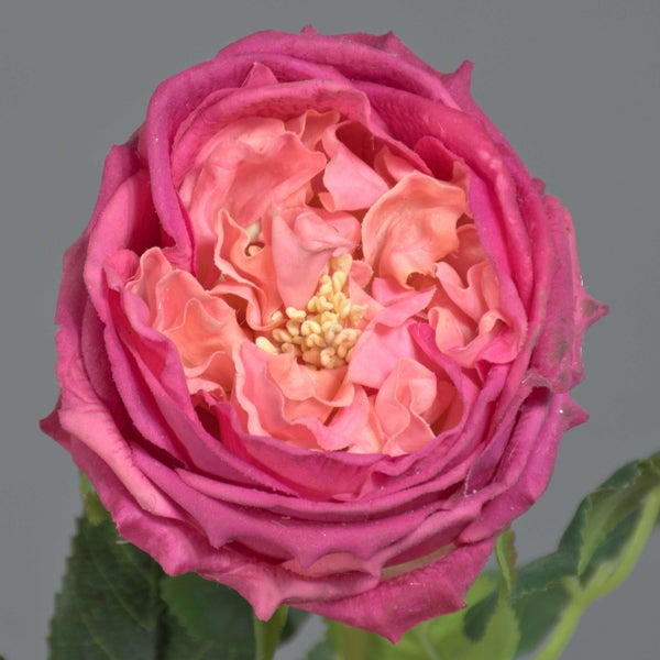 Künstliche Rose in Pink mit gefüllter Blüte und grünen Blättern.