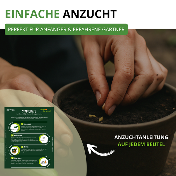 Eine Hand sät Tomatensamen in einen Topf mit Erde. Text weist auf einfache Anzucht und Anleitungen auf jedem Beutel hin.