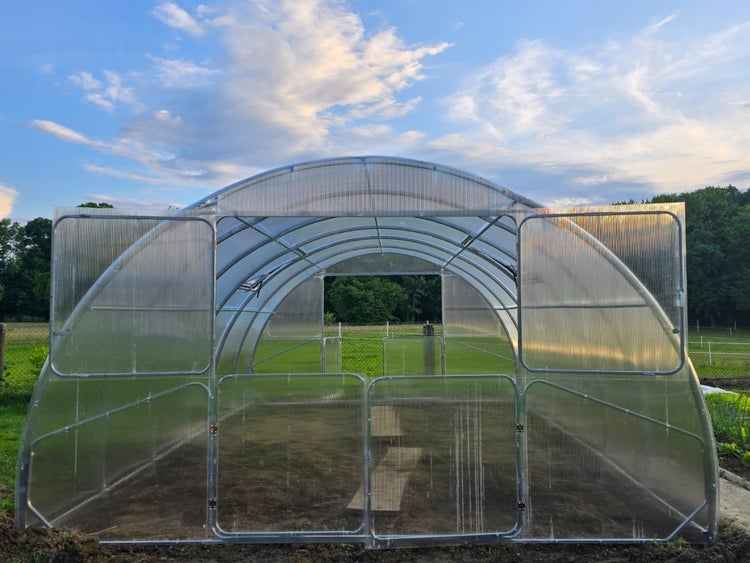 Gewächshaus mit transparenten Wänden und Metallrahmen im Garten