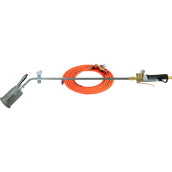 Nahaufnahme einer Zweigspitze mit Blättern und Beeren.