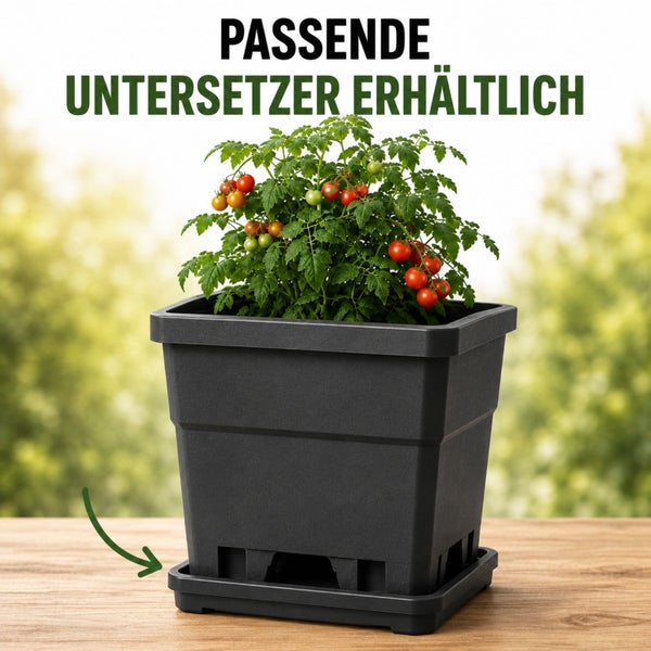 Schwarzer quadratischer Pflanztopf mit Tomatenpflanze und passendem Untersetzer. Text: Passende Untersetzer erhältlich.