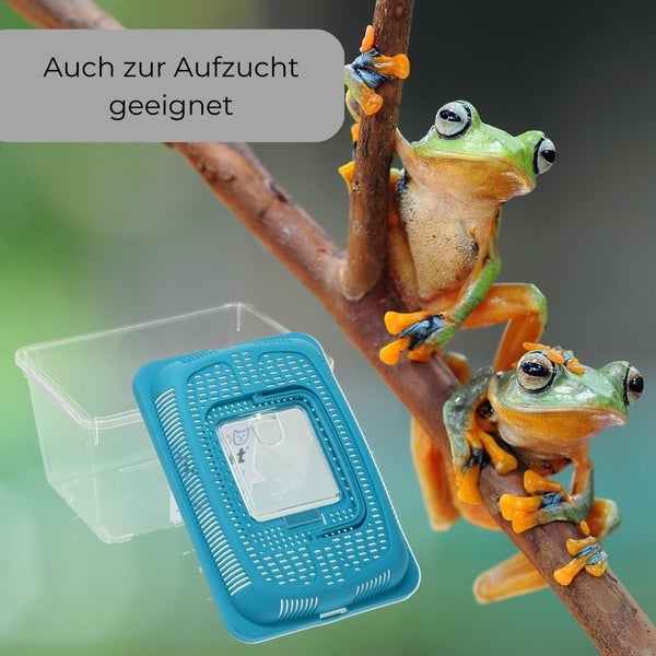 Faunabox Transport Quarantäne Box Tierbeobachtung Urzeitkrebse Triops Heimchen Fauna Box Insektenbox Amphibien Faunarium Gr.S