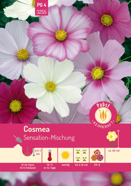 Samenpackung Cosmea Sensation-Mischung. Pabst Logo. Symbole für Aussaat ab März, achtzehn Grad, sonnig, Höhe circa achtzig Zentimeter.