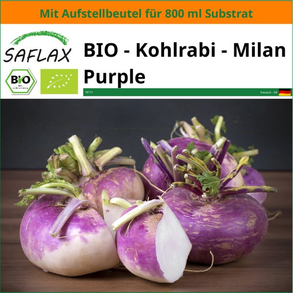 SAFLAX Garden in the bag - BIO - Kohlrabi - Milan Purple - Brassica rapa - 600 Samen - Mit Anzuchtsubstrat im praktischen, selbst aufstellenden Beutel