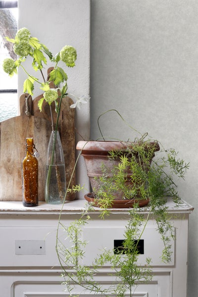 Dekorative Szene mit Topfpflanze, Blumen in Vasen und Schneidebrettern auf einer Kommode