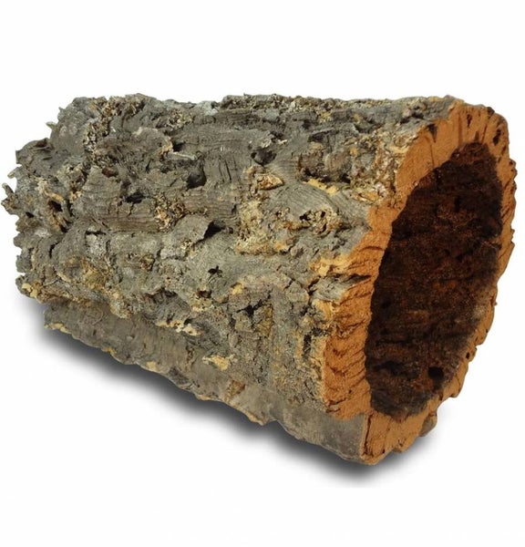 Natürliche Korkröhre für Terrarien und Aquarien, hohle Rinde.
