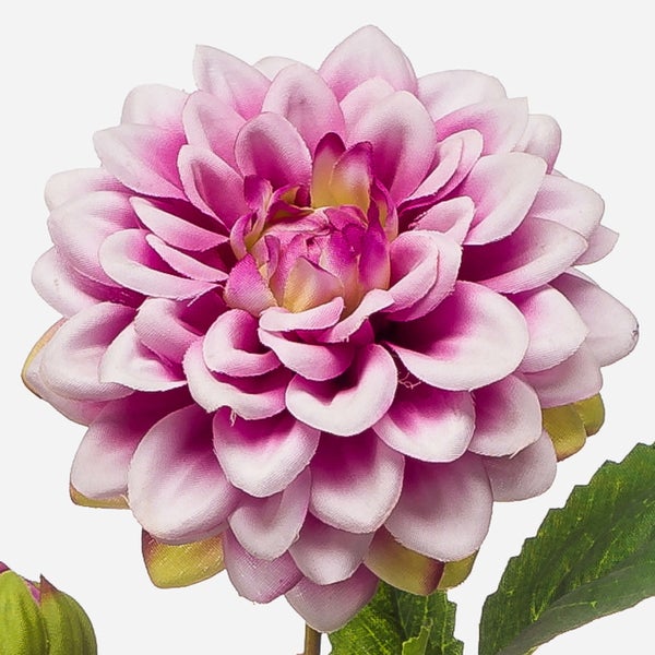 Künstliche Pflanze mit markant gemusterten Blättern in einem schlichten, dunklen Kunststofftopf.